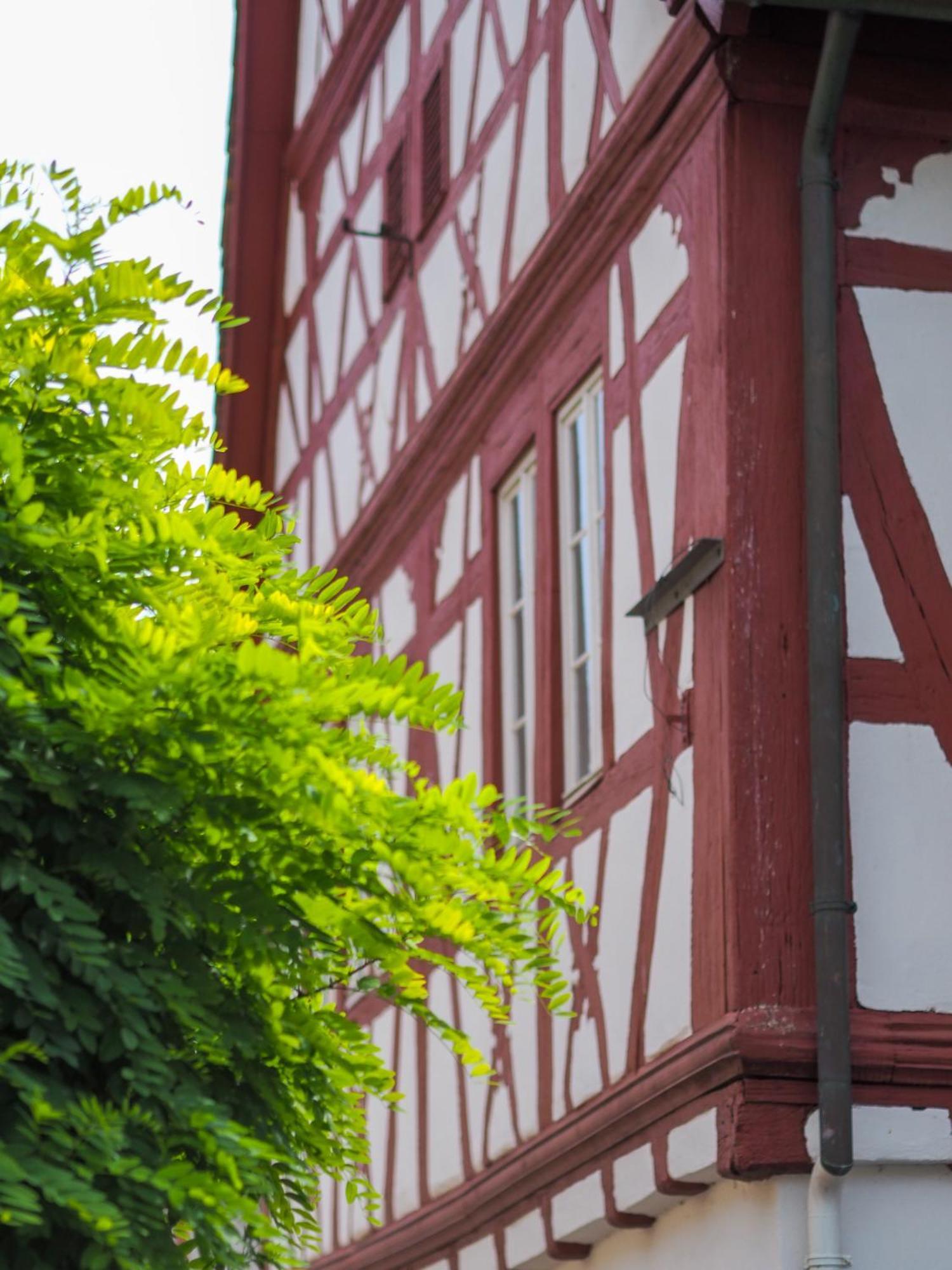 Weinstrasse No 8 "Einfach-Gut-Uebernachten" Leinsweiler Exteriör bild